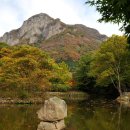 단풍 - 부여군 | 단풍