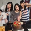 권기은 Daum카페