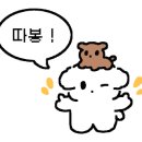 씨드그린(seed green) 이미지