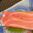 와참치 이미지