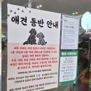 전주 Ⅰ전주동물원 근처 아이랑 대형 애견 동반 카페 전주 카페 수목원