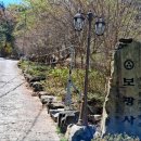 황령산 벚꽃약수터 이미지