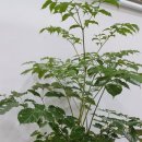 상품2리경로당 이미지