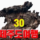 제주도 여행 30 곳 이미지