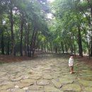 부소산성 삼충사 내 이미지