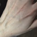 천연화장품 | 바디허벌즈 천연화장품 후기 | 사은품 미친 구성 딸기스크럽 페이스워시