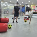 용인대 국가대표 태권도장 이미지