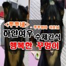 하얀여우 수제간식 네이버블로그