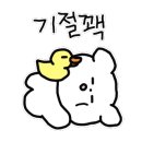 스카이스윙김해 이미지