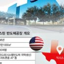 뉴욕미나리 이미지