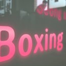 성남권투 이미지