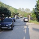 물골안랜드 | 애견동반캠핑 다시 찾진 않을.. 남양주 물동네 힐링 캠핑장 후기