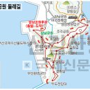 부산 송도 암남공원 둘레길과 동백꽃산행 이미지