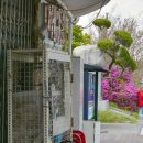 상무매점 이미지