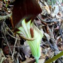 물결속으로 이미지