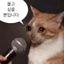 속시원곽앤이내과의원 | 임신 4주차 기록 | 시험관 난자냉동 경험 후 자연임신, 희미한 임테기부터 아기집 확인