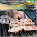 제주똥돼지전문