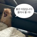 굿모닝입니다~ 이미지