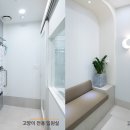 김포 동물병원 위브동물의료센터 암컷 고양이 중성화수술 후기