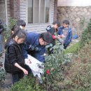 꿈이 자라는 나무 이미지