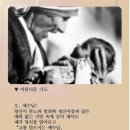 테라사 이미지