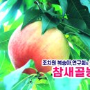 참새골농원 이미지