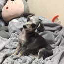 #9월, 일상정리 : 그럼에도 불구하고 오늘을 살아가보자