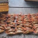 경주수산유통 이미지