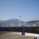 용두산공원 광장 이미지