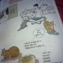 빵굽는고양이 이미지