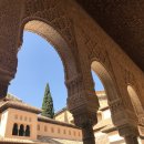 1389 | 그라나다 알함브라 궁전 여행 코스, 무조건 투어가 더 좋은 이유