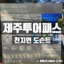 제주 투어패스 천지연 폭포 서귀포 해설 투어
