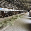 정돈농장 이미지