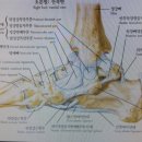 우성한의원 이미지