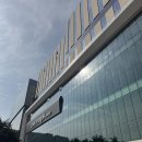 2025 서울 반려동물 박람회 in 코엑스마곡 내돈내산아이템