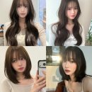 뷰티호텔109성성점 | 모어온헤어 얼굴형에 맞는 헤어스타일을 찾는 퍼스널 컬러 헤어컨설팅
