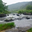 울주 대곡리 반구대 암각화 이미지