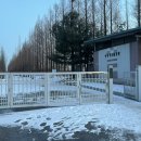 중앙로 메타세콰이아길 이미지