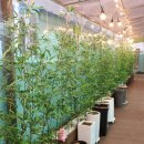 기장해물 이미지