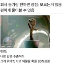 (구)한진택배 앞 교통섬 | 이 블로그 정상영업합니다