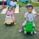오떼떼 그린 네이버블로그