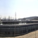 봉림낚시터 이미지