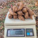 가지산천마영농조합 이미지