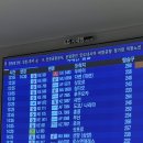 모닝캄 티스토리
