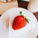 토마토커피숍 이미지