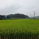 태봉정미소 이미지