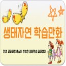 신사북 이미지