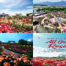 곡성-232 이미지