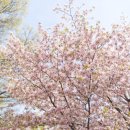 일제강점기군산역사관 | 군산 가볼만한곳 - 일제강점기 군산역사관 동국사 여행지