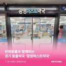 광명로약국 이미지